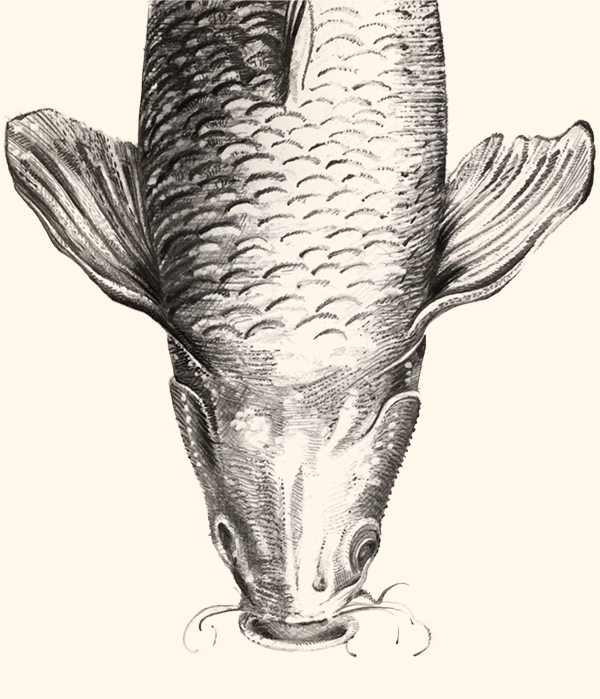 manoir-regate-nantes-restaurant-carpe-1